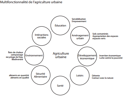 Agriculture multifonctionnelle