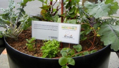 Nourriture à partager